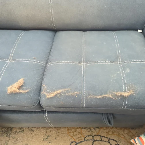 Hair Today, Gone Tomorrow Bundle (Free Mini™) - Image 3