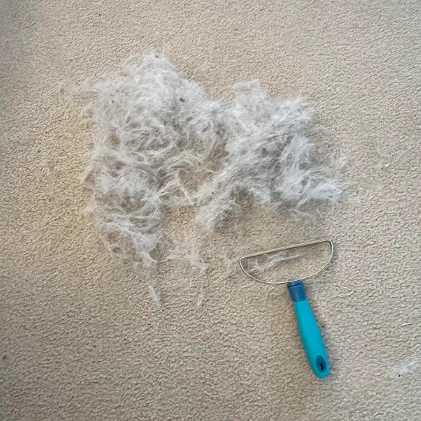 Hair Today, Gone Tomorrow Bundle (Free Mini™) - Image 5